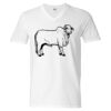 Unisex Softstyle® V-Neck T-Shirt Thumbnail